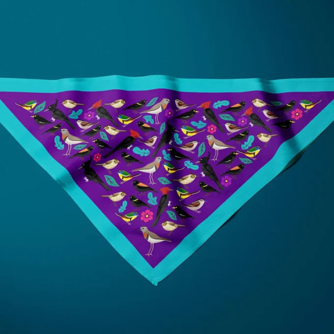 Pañoleta Aves nativas