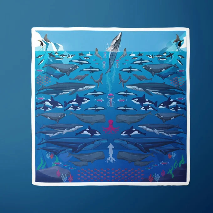 Pañuelo Mar antártico