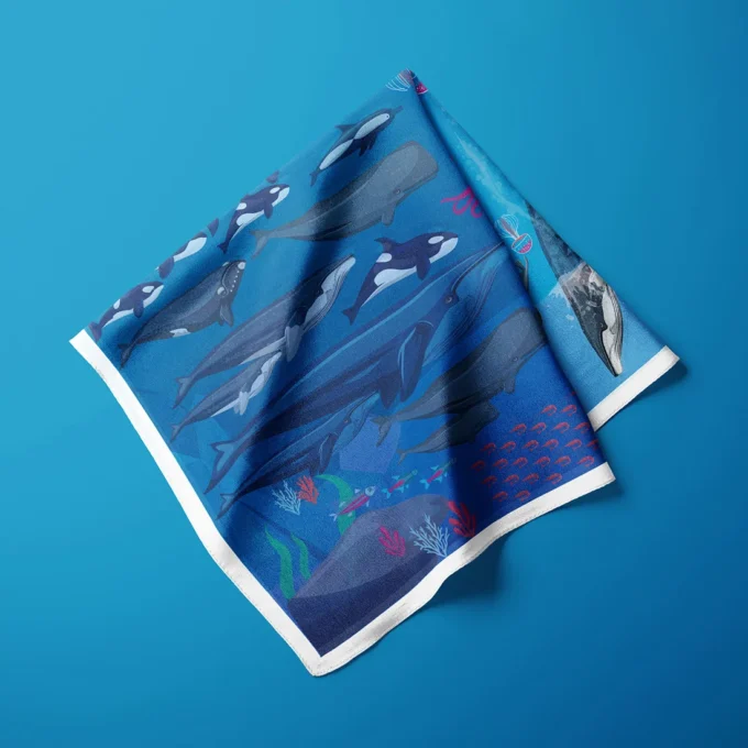 Pañuelo Mar antártico