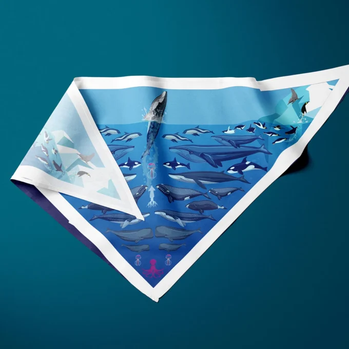 Pañoleta Mar antártico