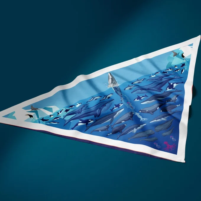 Pañoleta Mar antártico