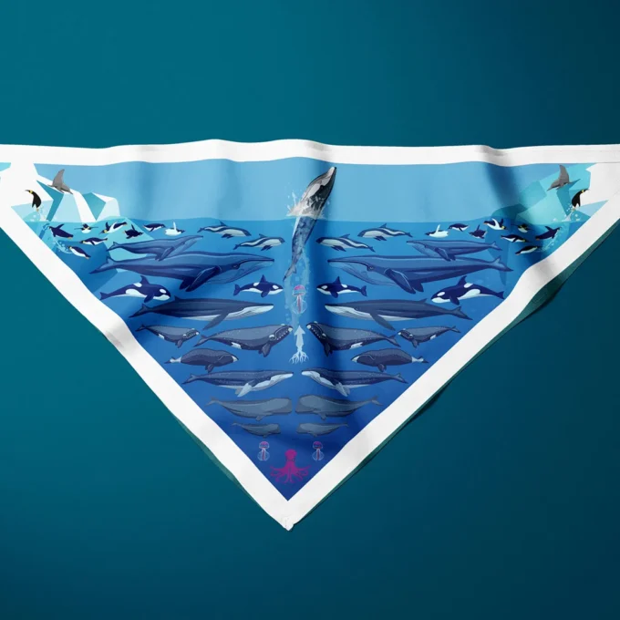 Pañoleta Mar antártico